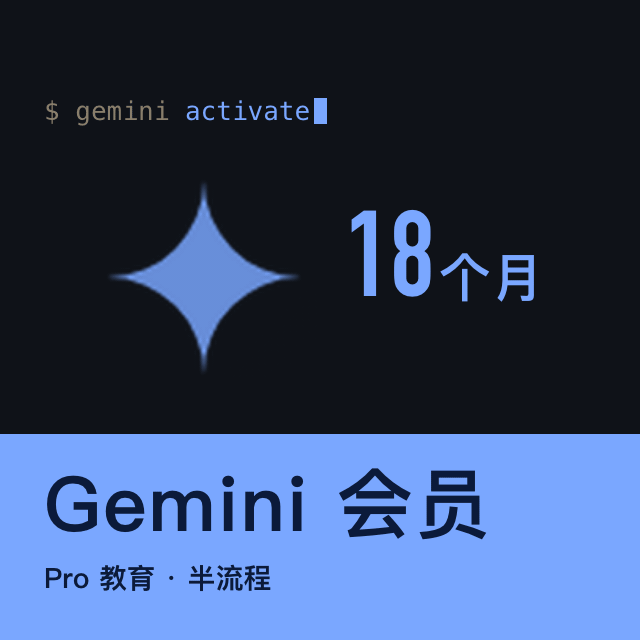 Gemini Pro 18 个月
