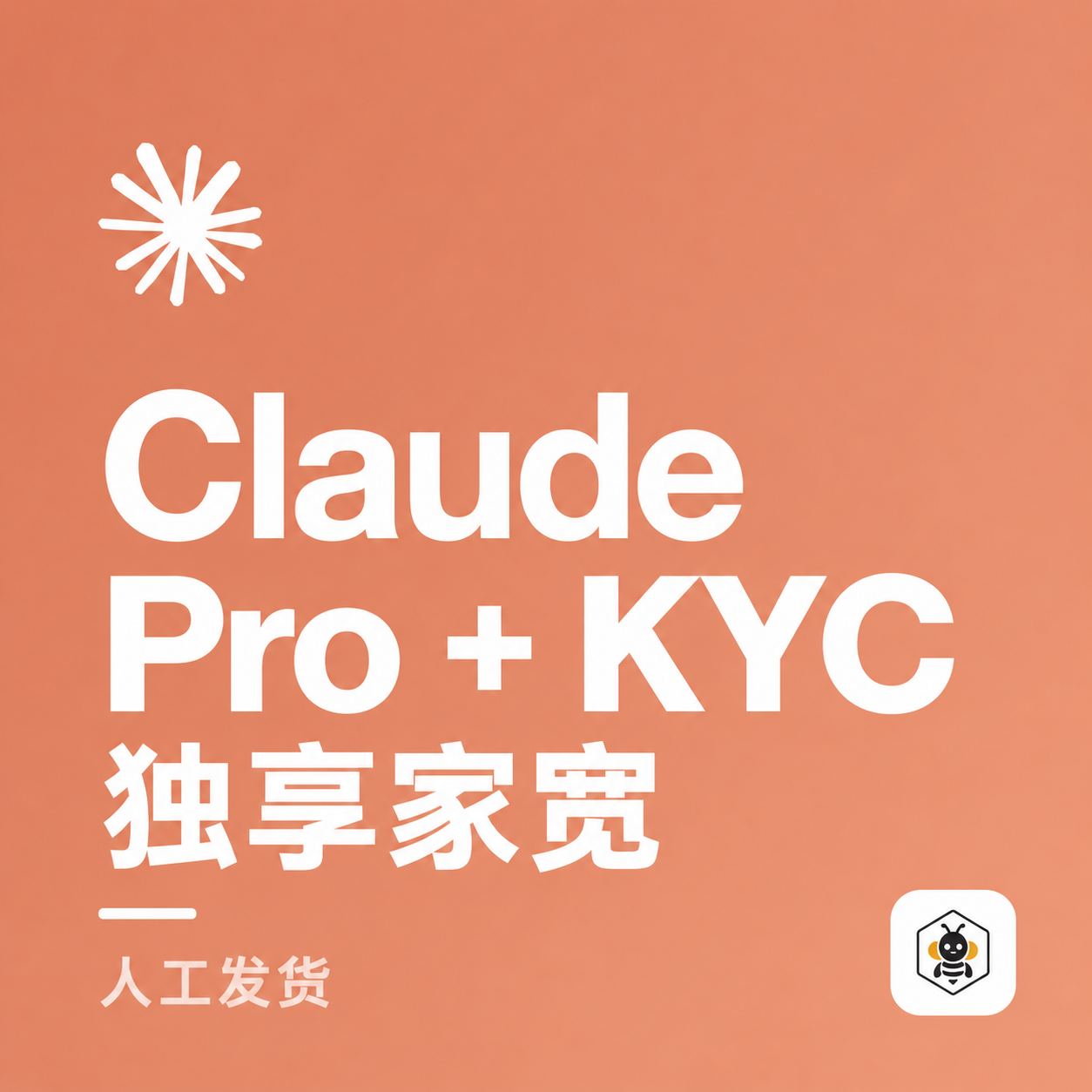 Claude Pro+KYC+独享家宽套餐(次月仅需续费及家宽)